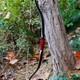 50 Traditional Recurve Bow 25-45lbs Turkish Horse Hunting Bow For Youth Adult