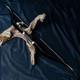 54 Tatar Traditional Bow Recurve Archery Horseback Bow For Hunting 30lbs