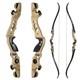 62 Takedown Ilf Recurve Bow 25-60lbs Bow Limbs Set Archery Hunting Competition