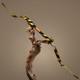 66'' Af Archery Manchu Bow Long Bow Ancient Asiatic Recurve Bow Archery 25-45lbs