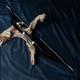 Af Archery 54 Black Tatar Traditional Recurve Bow For Outdoor Practice Hunting