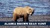 Alaska Brown Bear Archery Hunt