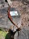Almost Modern Acadian Woods Archery Td Recurve 65#