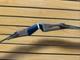 Bear Archery Takedown Recurve Bow Twisted Limb Rh 45# 56 Item 4045