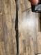 Bear Recurve Bow Rh Grizzly Glass Powered Primitive Hunting/archery Trad