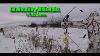 Bowhunting Whitetail In Saskatchewan With Longbow
