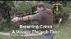 Browning Cobra Recurve Bow A Voyage Through Time