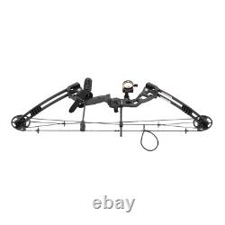 Compound Bow Recurve Bow with 12x Arrows Set Right Hand for Adult Hunting Training