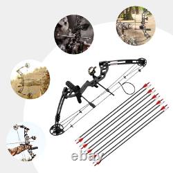 Compound Bow Recurve Bow with 12x Arrows Set Right Hand for Adult Hunting Training
