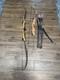 Fleetwood Archery Monarchy Recurve Bow 62 40lbs Psa Lot 19 Arrows