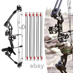 For Adult Hunting Training Compound Bow Recurve Bow &12x Arrows Set Right Hand