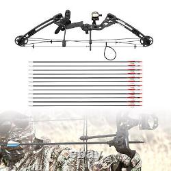 For Adult Hunting Training Compound Bow Recurve Bow &12x Arrows Set Right Hand