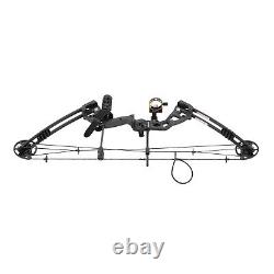 For Adult Hunting Training Compound Bow Recurve Bow &12x Arrows Set Right Hand