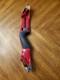 Fred Bear Mag A Red Takedown Recurve Bow Riser