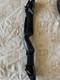 Fred Bear Take Down Recurve Bow