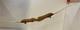 Omp Adventure 2.0 Recurve 54 15# Left Hand Bow