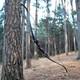 Pmz Archery 60 Takedown Recurve Bow Set Traditional Hunting Bow 20lbs-60lbs