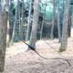 Pmz Archery Korean Traditional Recurve Bow 50 Horseback Hunting Bow 30lbs