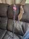 Recurve Bow