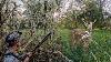 Recurve Bow Buck At 5 Yards Traditional Deer Hunting Early Season
