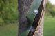 Refurbished Vintage Fred Bear Archery Grizzly Recurve Bow 58 45# Rh Green