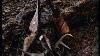 Review Bear Archery Kodiak Hunter Recurve Bow