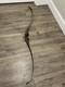 Shakespeare The Pecos X-23, Recurve Bow Rh 45lb 58 In Longbow Long Bow Archery