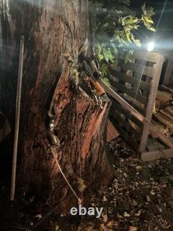 Takedown Recurve Bow