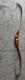 Tioga 21-x Shakespeare Wonderbow Recurve Bow, 60, 45#, Rh Nice