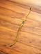 Vintage 150cm Bear Archery Recurve Bow Classic Fred Bear Instant Archery