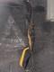 Vintage 1966 Bear Polar Archery Recurve Bow 66 Amo 30# Rh Grayling Mi