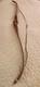 Vintage Ben Pearson Golden Sovereign Recurve Bow Rh 58 45 Lb 28 Draw #1059