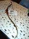 Vintage Bear Archery Kodiak Magnum Recurve 52# 1966