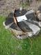 Vintage Bear Archery Kodiak Recurve 47# 1956 Rh\lh 64