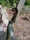 Vintage Bear Archery Super Magnum 48 Recurve 1968 Factory Camo 55#
