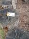 Vintage Bear Archery Camo Grizzly Recurve 60# 1961