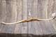 Vintage Damon Howatt Ventura Bow 20#