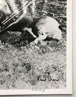 Vintage Fred Bear Autographed Photo with Stone Sheep for Traditional & Recurve Bow