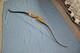 Vintage Herter's Internat Match Hunter Recurve Bow Longbow Archery Bows L-h