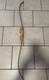 Vintage Little Bear Youth Fiberglass / Wood Recurve Bow 48 Amo 20# V. Good Cond