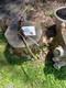 Vintage Wing Archery Presentation 2 Td Recurve 35#