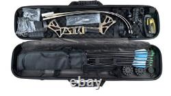 Wasp Recurve Bow with Hard Case Set for Hunting Targeting Shooting Right Handed